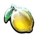 icon 6