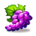 icon 4