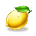 icon 6
