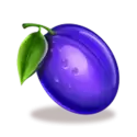 icon 7
