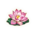 icon 4