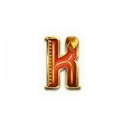 icon 6