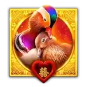 icon 2