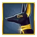 icon 5