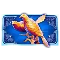 icon 4