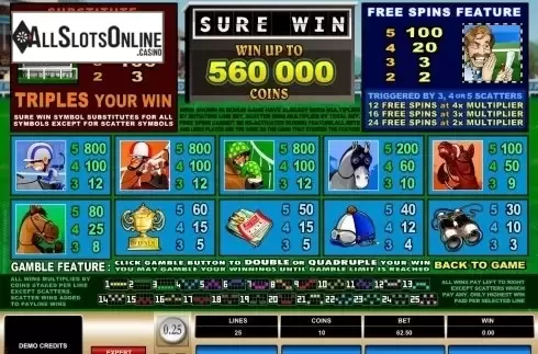 Screen2. Sure Win from Microgaming