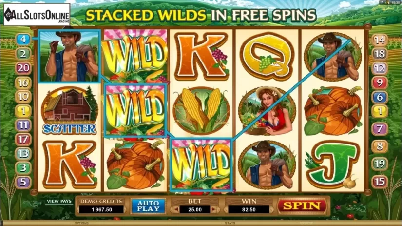 Screen9. Sweet Harvest from Microgaming