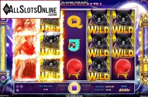 Win Screen 3. Wild Fairies from EAgaming