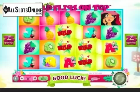 Win screen 3. Wild Flips on Top from Skywind Group