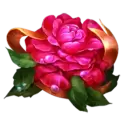 icon 1