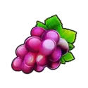 icon 4
