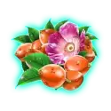 icon 4