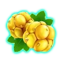 icon 1