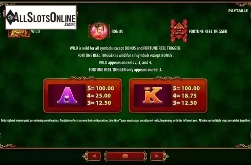 Paytable 3. Wishing You Fortune from WMS