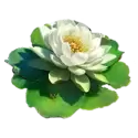 icon 4