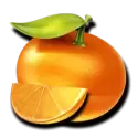 icon 6