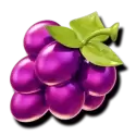 icon 5