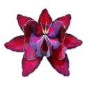 icon 9