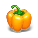 icon 10