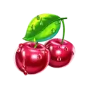 icon 4