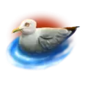 icon 2