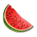 icon 6