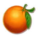 icon 5