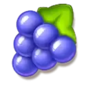 icon 6