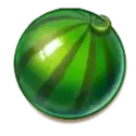 icon 5