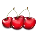 icon 5