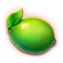 icon 9