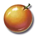 icon 7