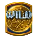 icon 11