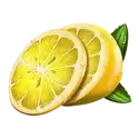 icon 9