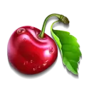 icon 10