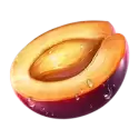 icon 7