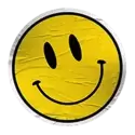 icon 10
