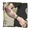 icon 2