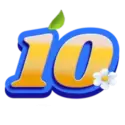 icon 10