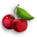 icon 3