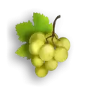 icon 4