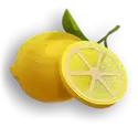 icon 5