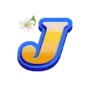 icon 9