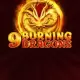 9 Burning Dragons