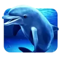 icon 3