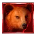icon 2