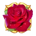icon 3
