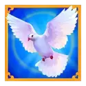 icon 4