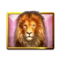 icon 12