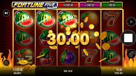 Fortune Five Double slot screenshot 3